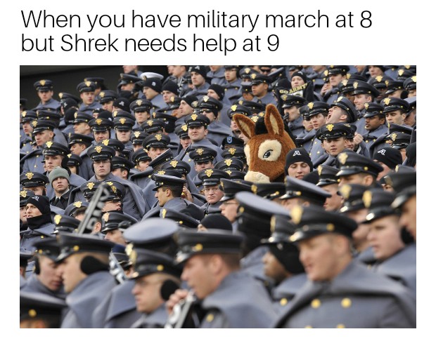 donkey-meme.jpg