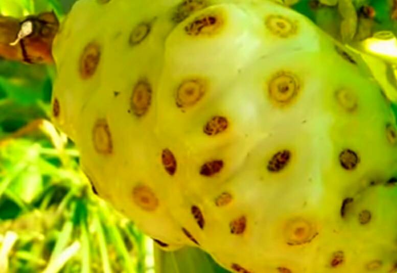 29196466_1635799676456641_215808006246367232_n (1).jpg