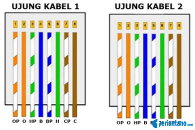 Susunan dan Cara Membuat Kabel UTP Straight dan Cross Lengkap 8.jpg