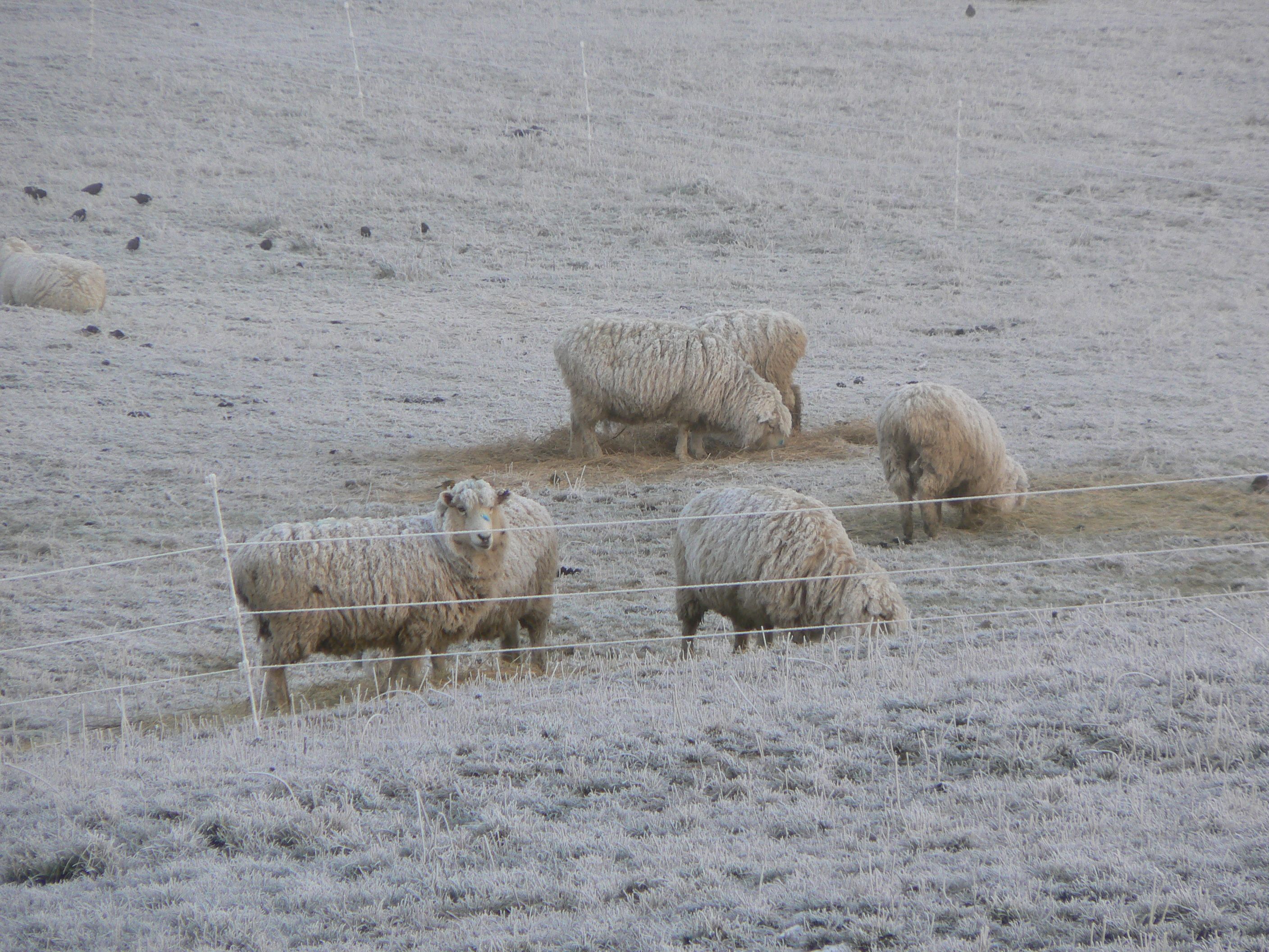 2006-06-26 09.16.22.jpg