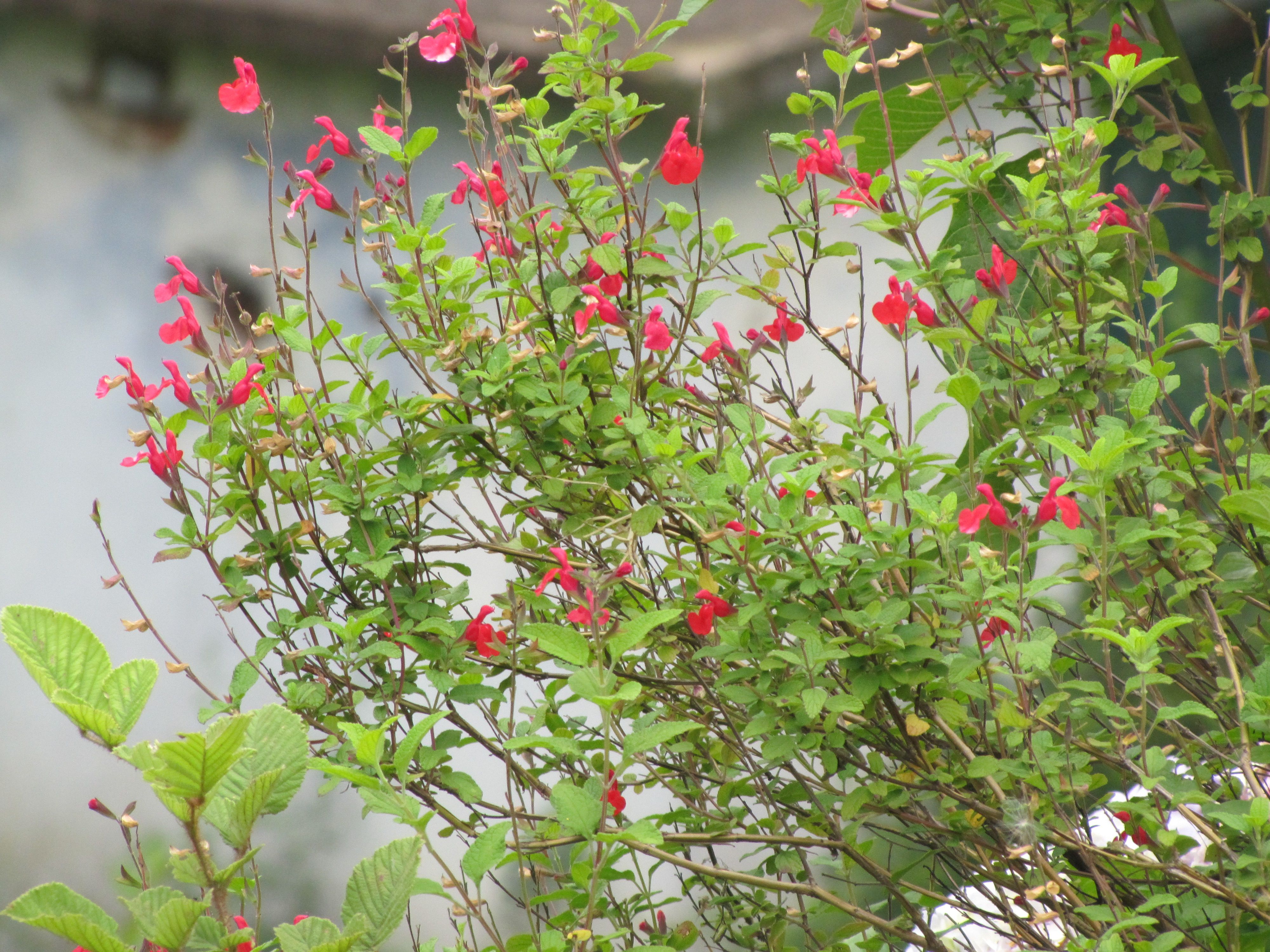 south trip 2013 613.jpg