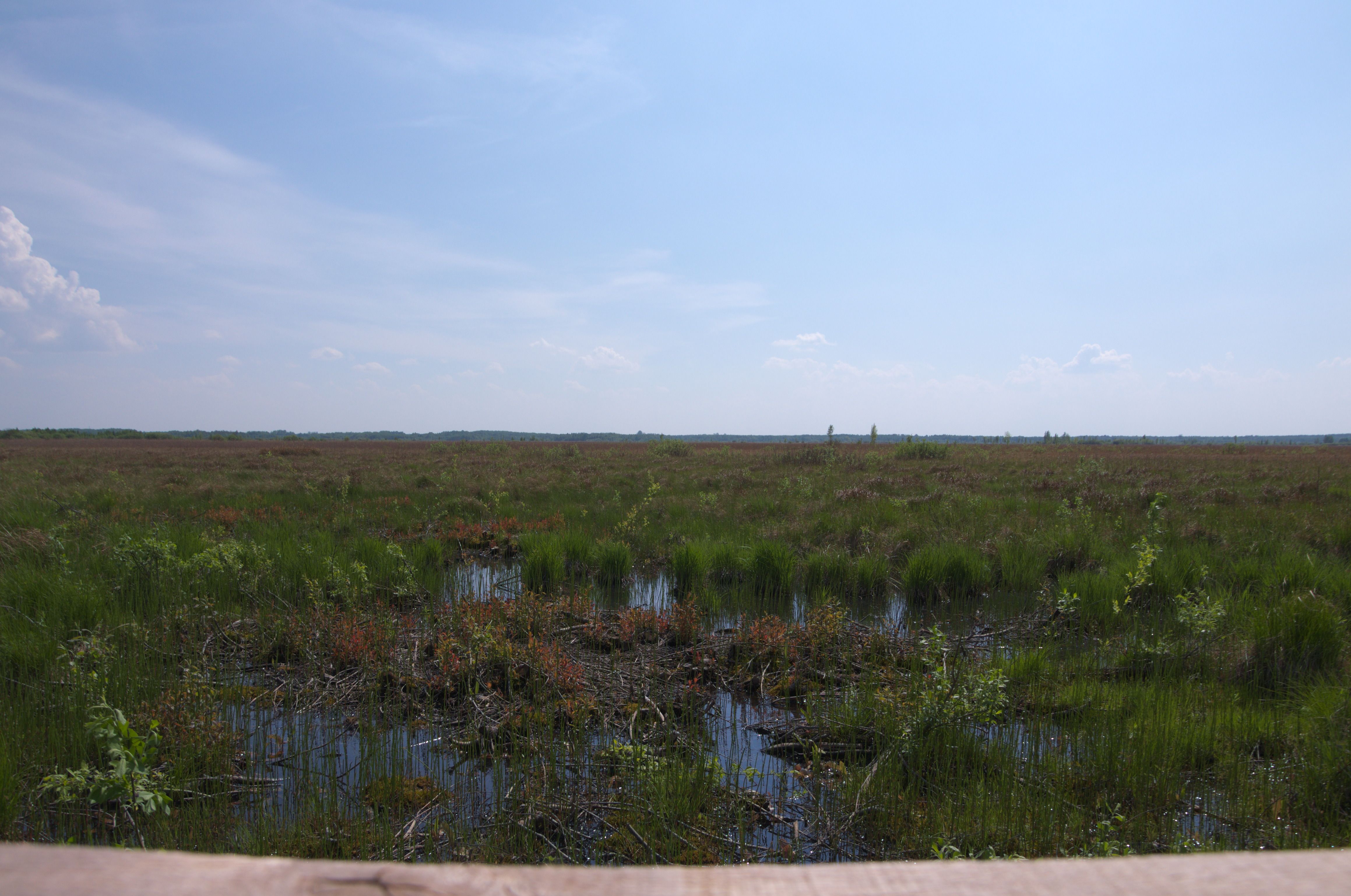 DSC_0422.jpg