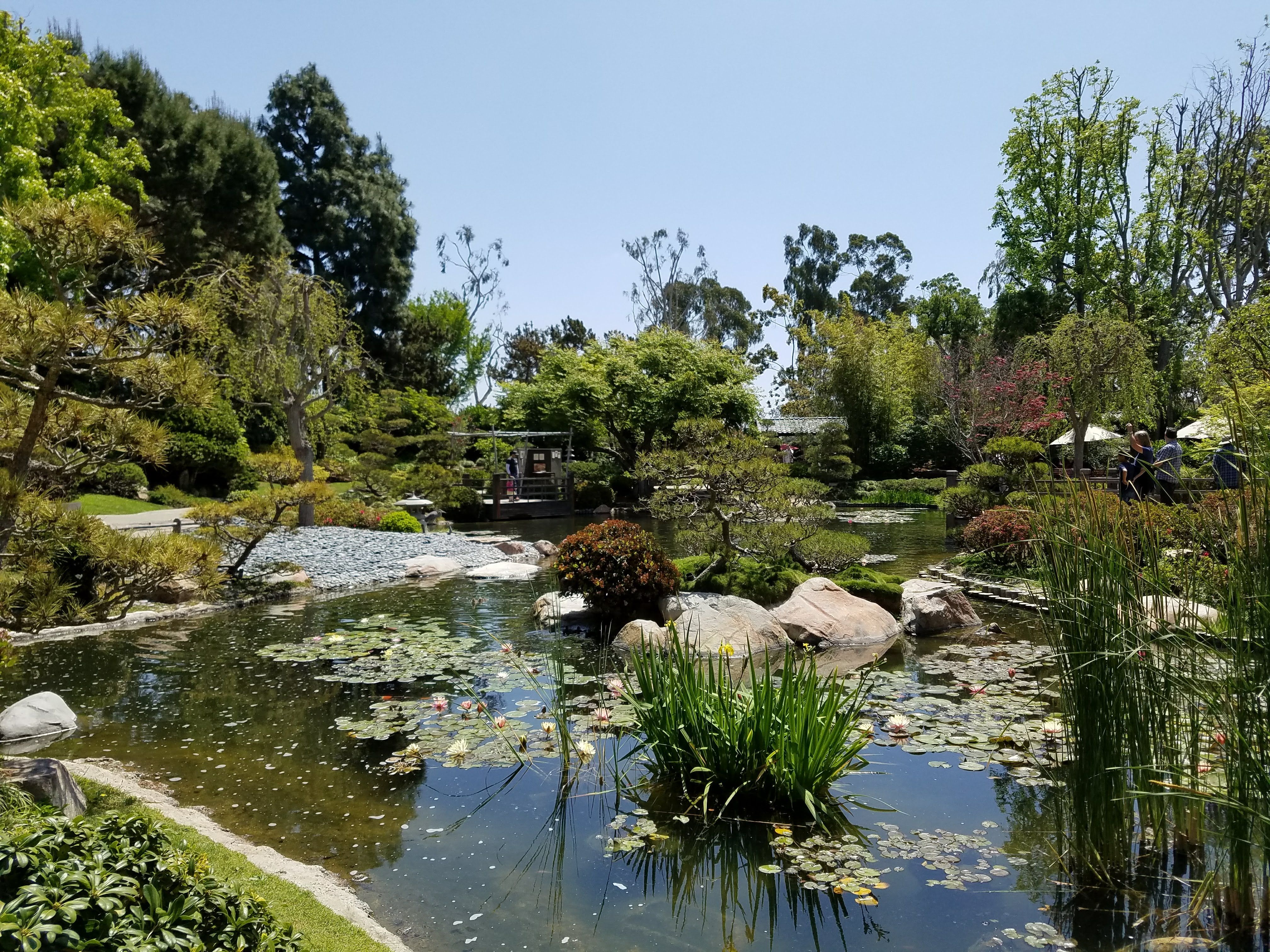 20180427_120320.jpg