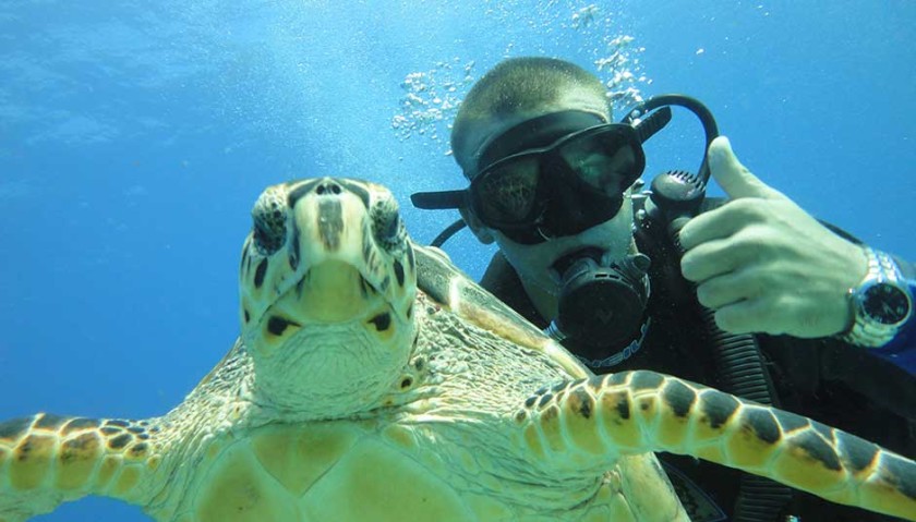 5-Best-Places-to-Dive-in-the-World-According-to-PADI-840x479.jpg