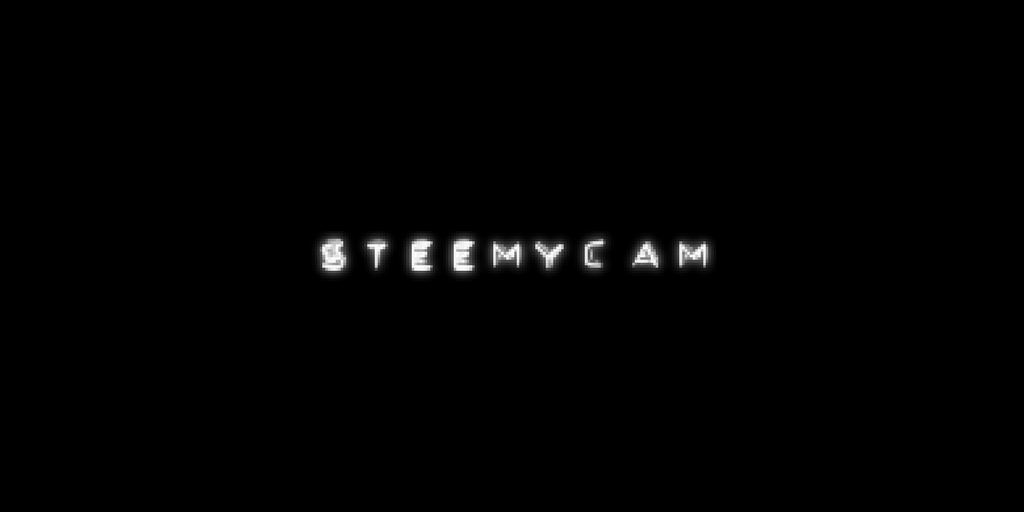 SteemycamHeader.png