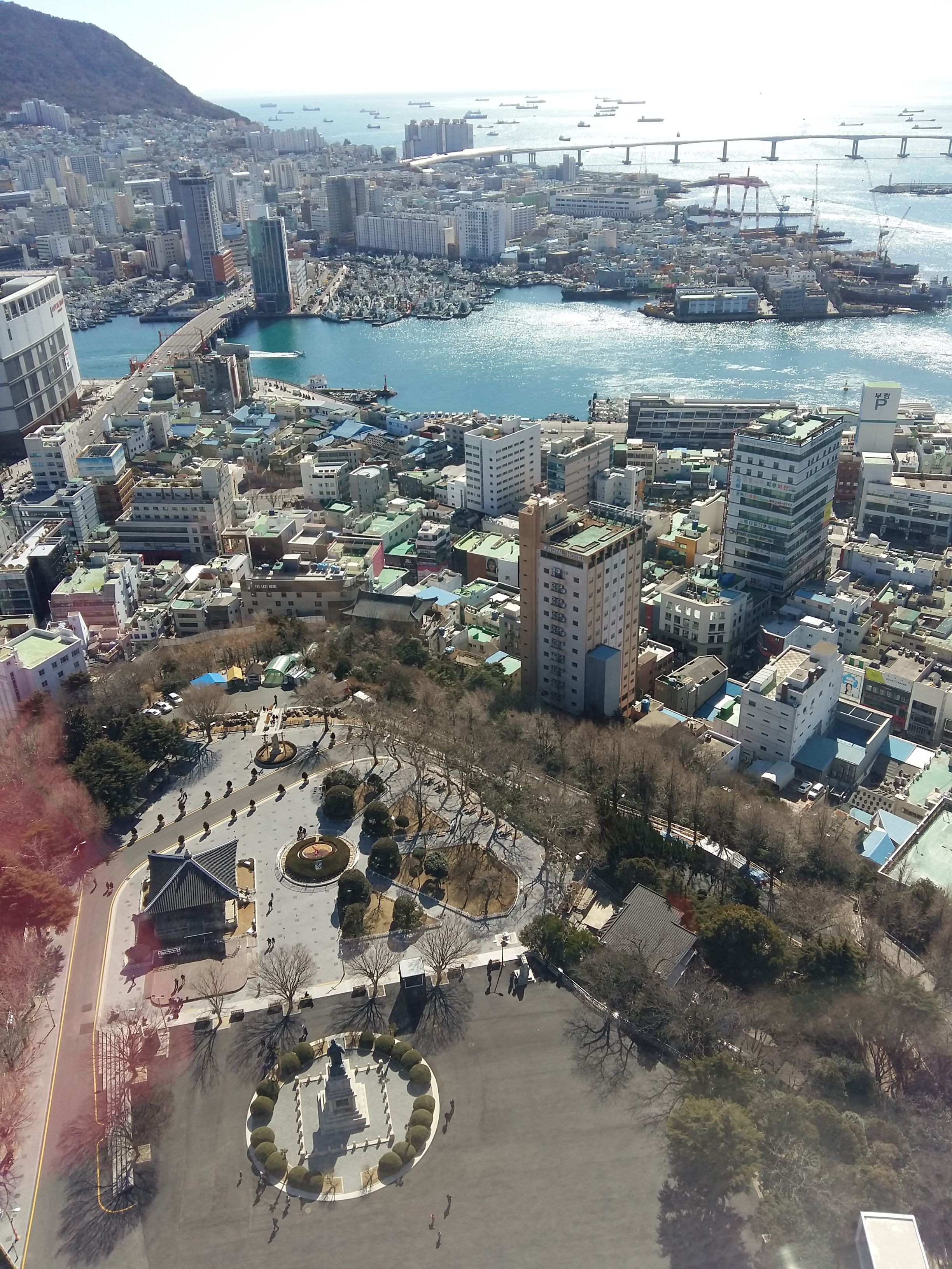 20180217_123156.jpg