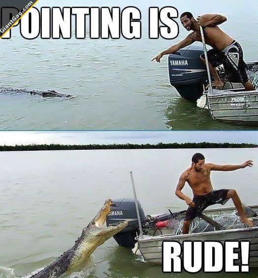 Funny-Dangerous-Crocodile-Attack-Picture.jpg
