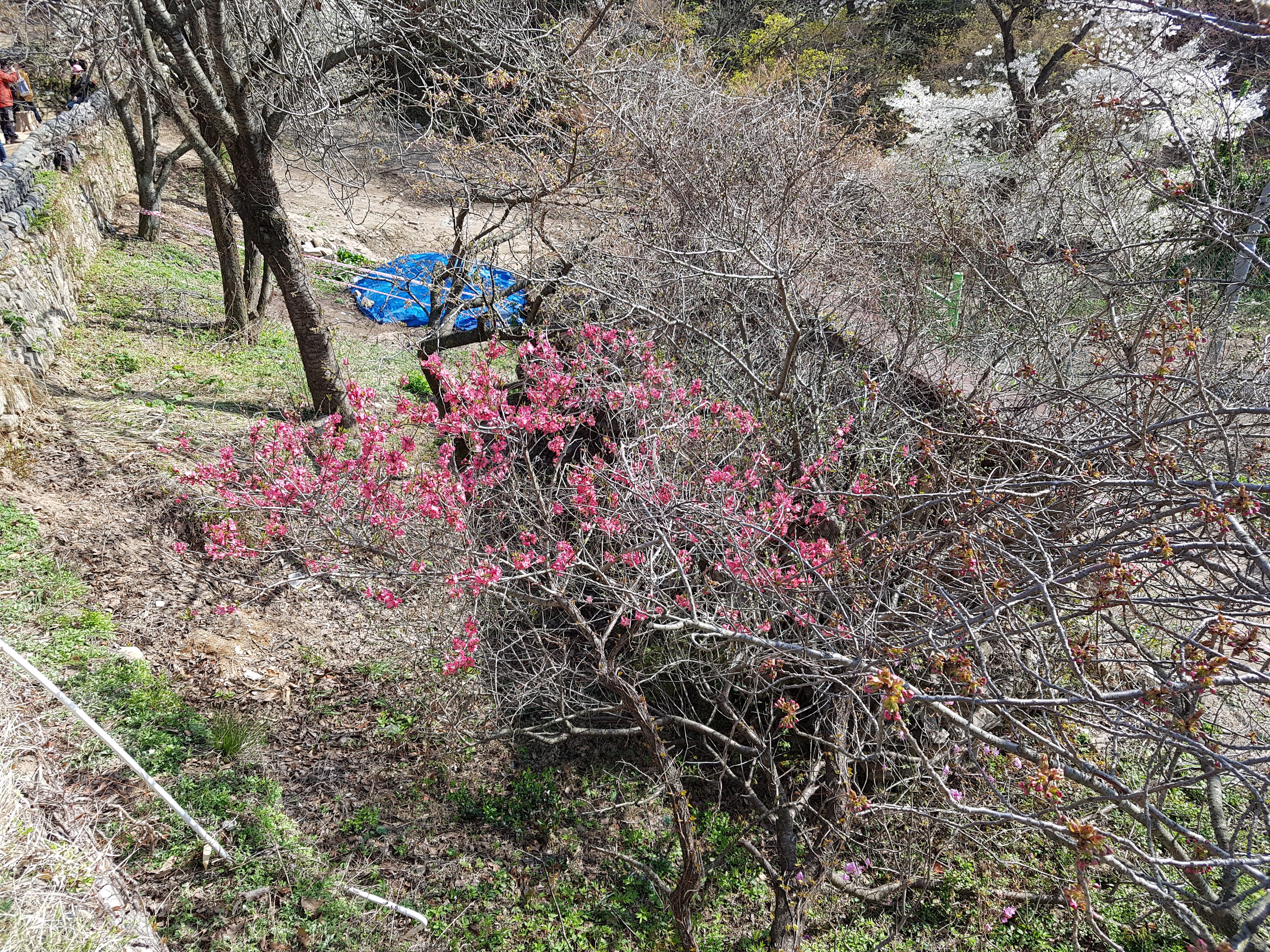 20180412_153305.jpg