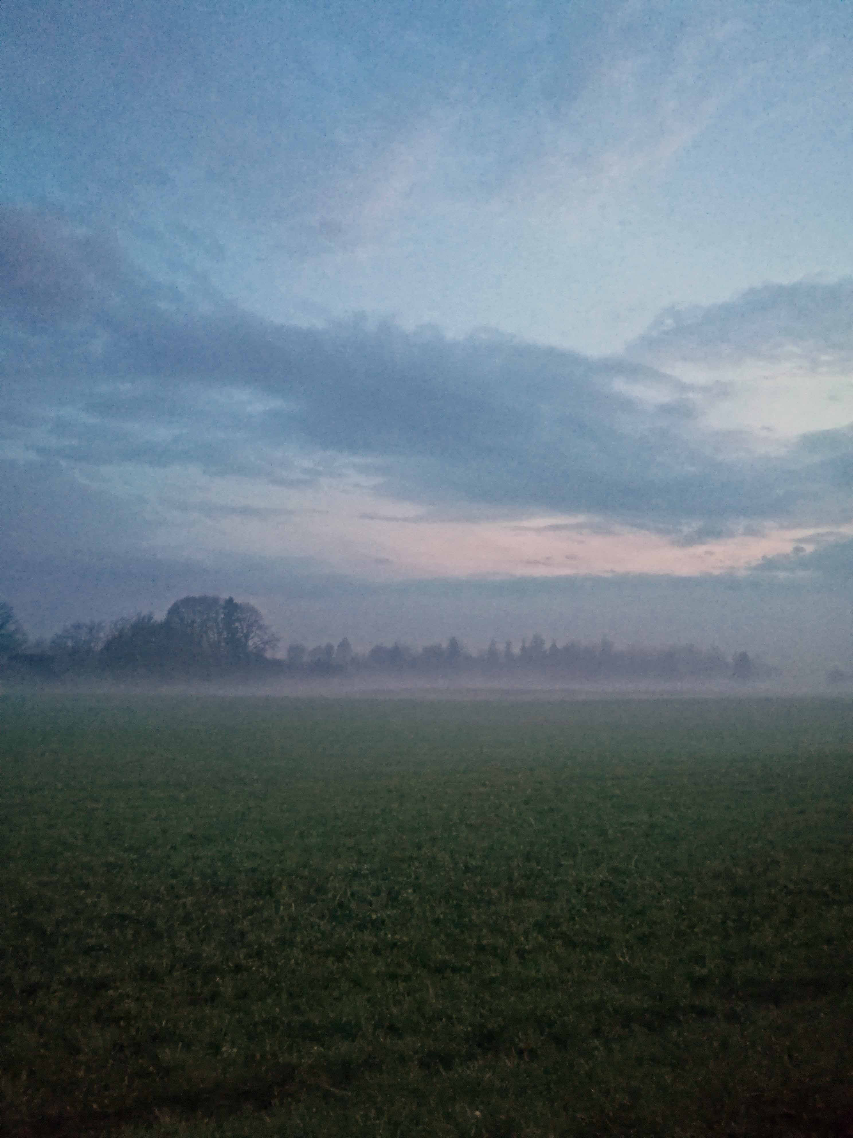 Misty evening Photography in Steemit Blog