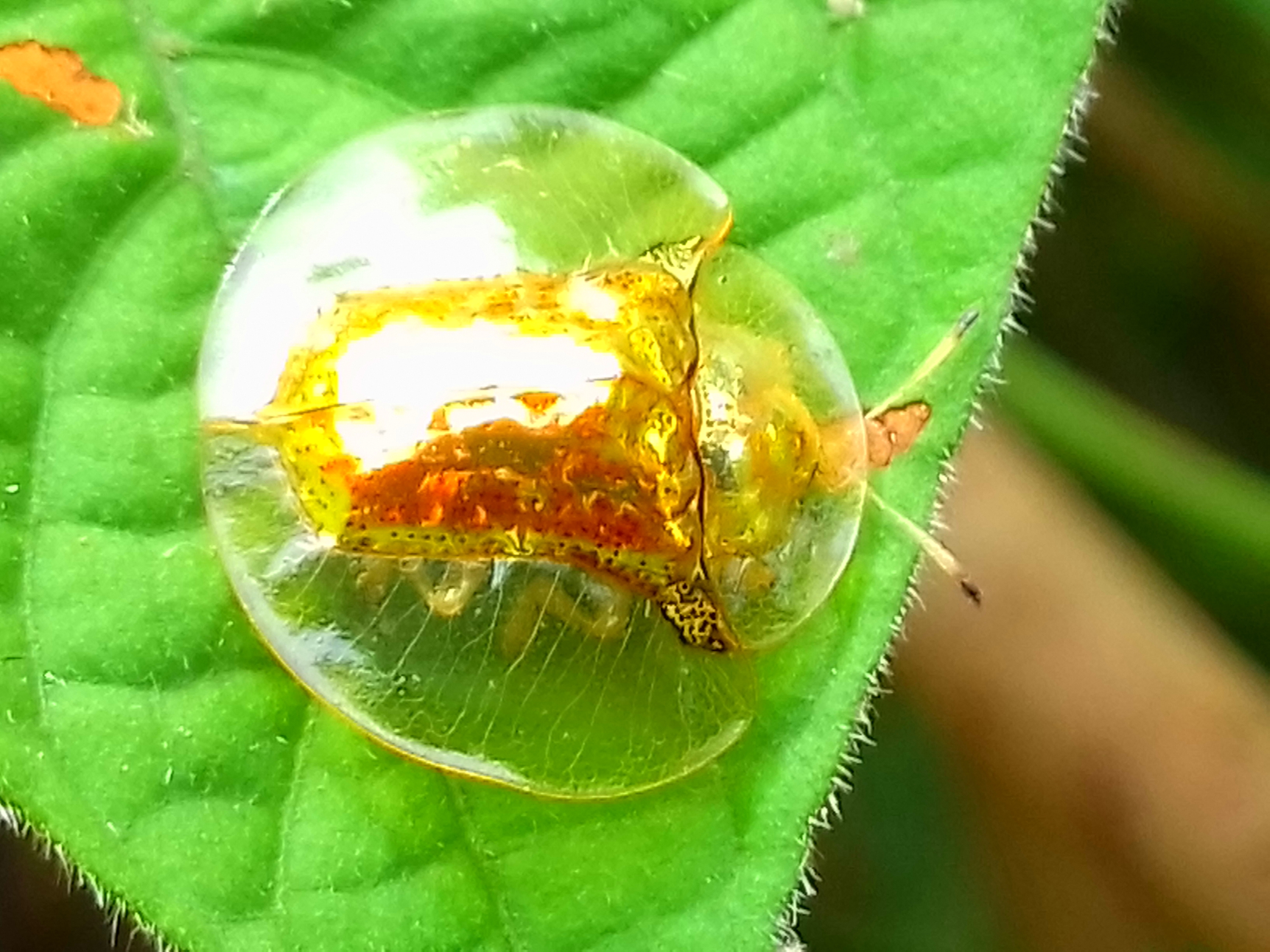 20180308_132309.jpg