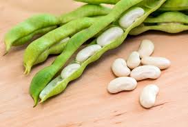 Lima beans.jpg