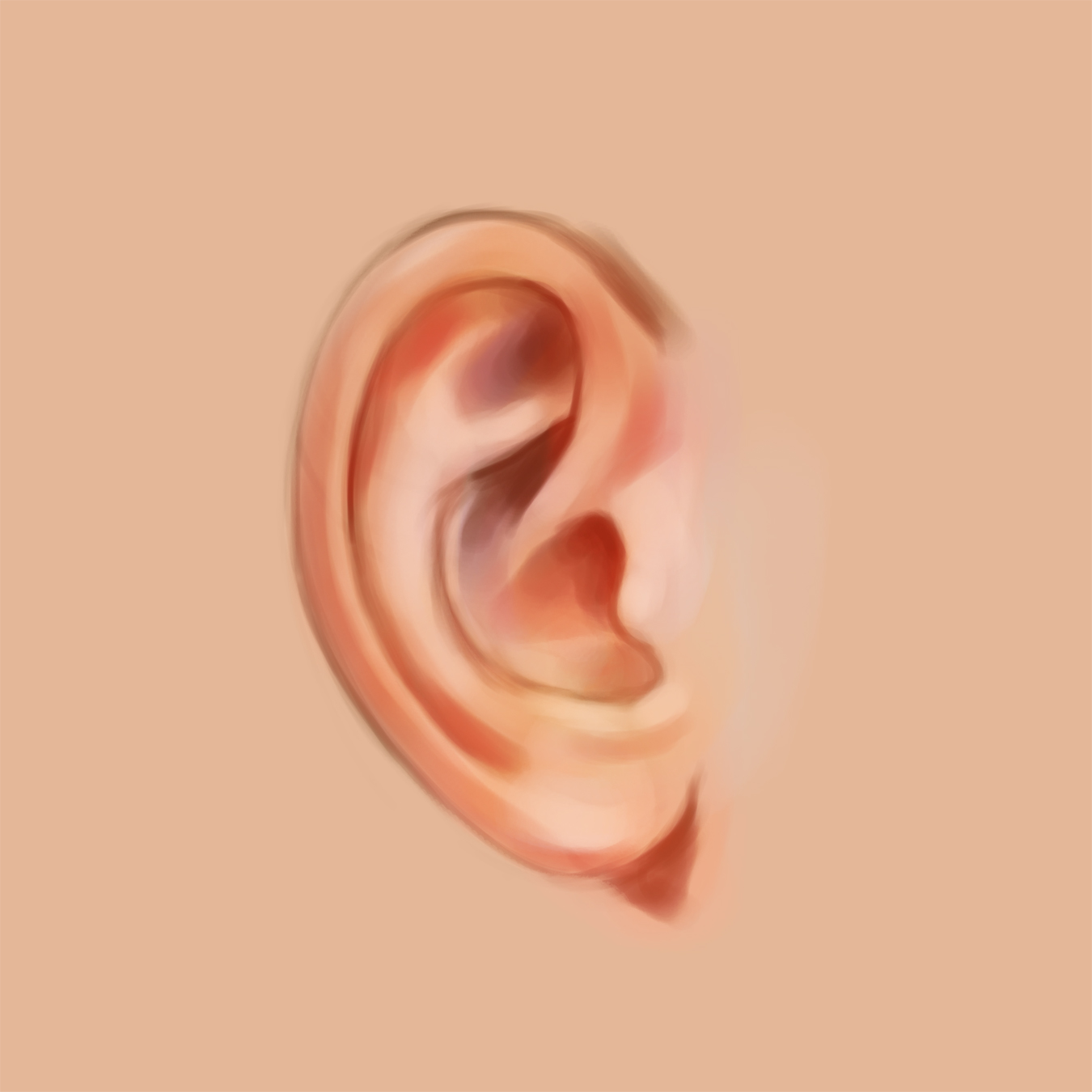 Ear drawing clipart | Clipart Nepal