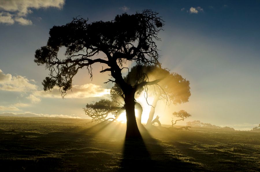 stock-photo-11411395.jpg