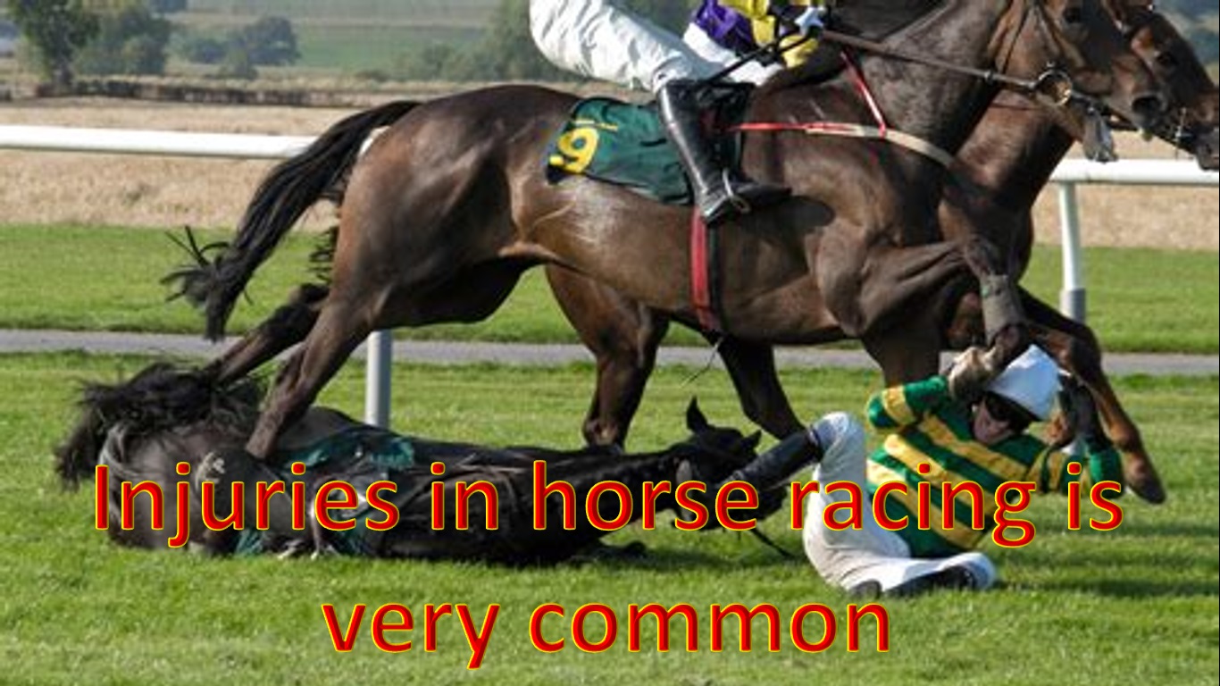 HorseRacing.jpg