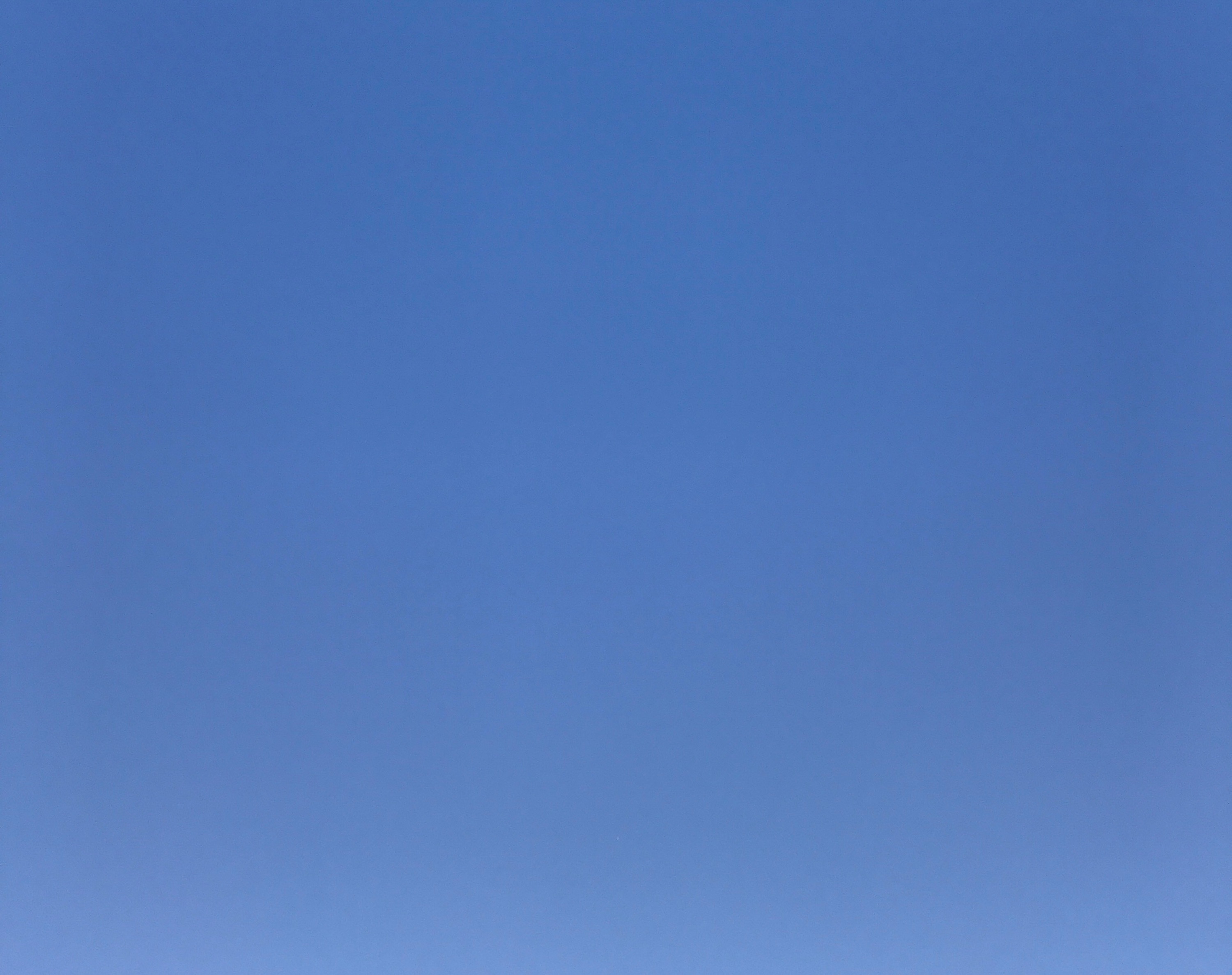 FullSizeRender.jpg.jpeg