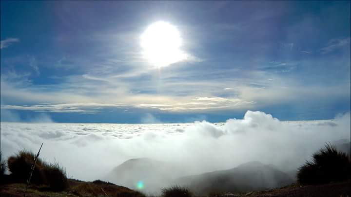 Photography Sea Of Clouds Steemit