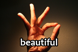 2025-social-comment-beautiful-hand.jpg