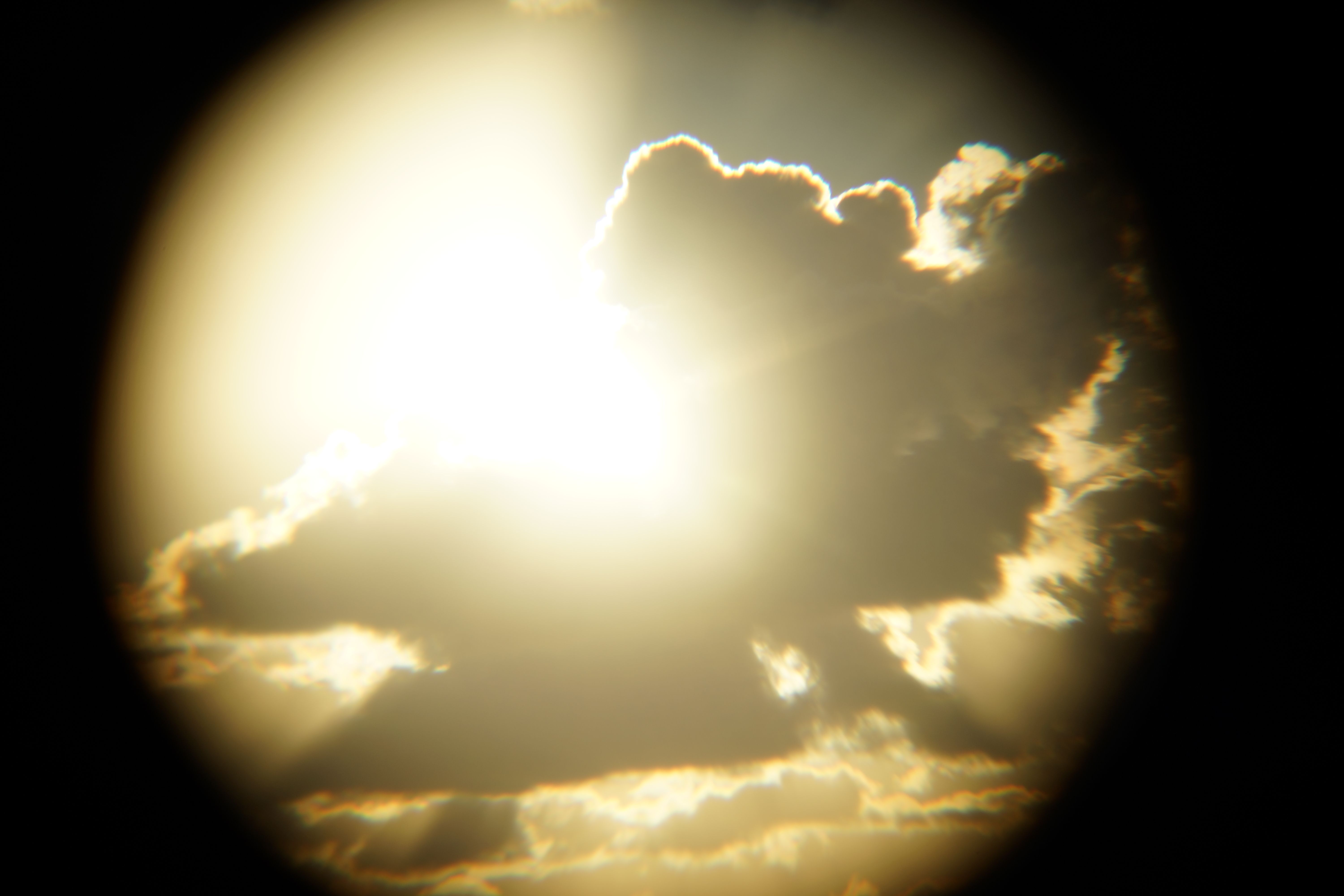 DSC09755.JPG