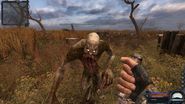 Swamp_bloodsucker.jpg