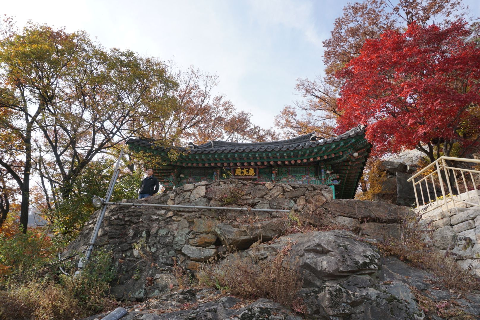 DSC09010.JPG
