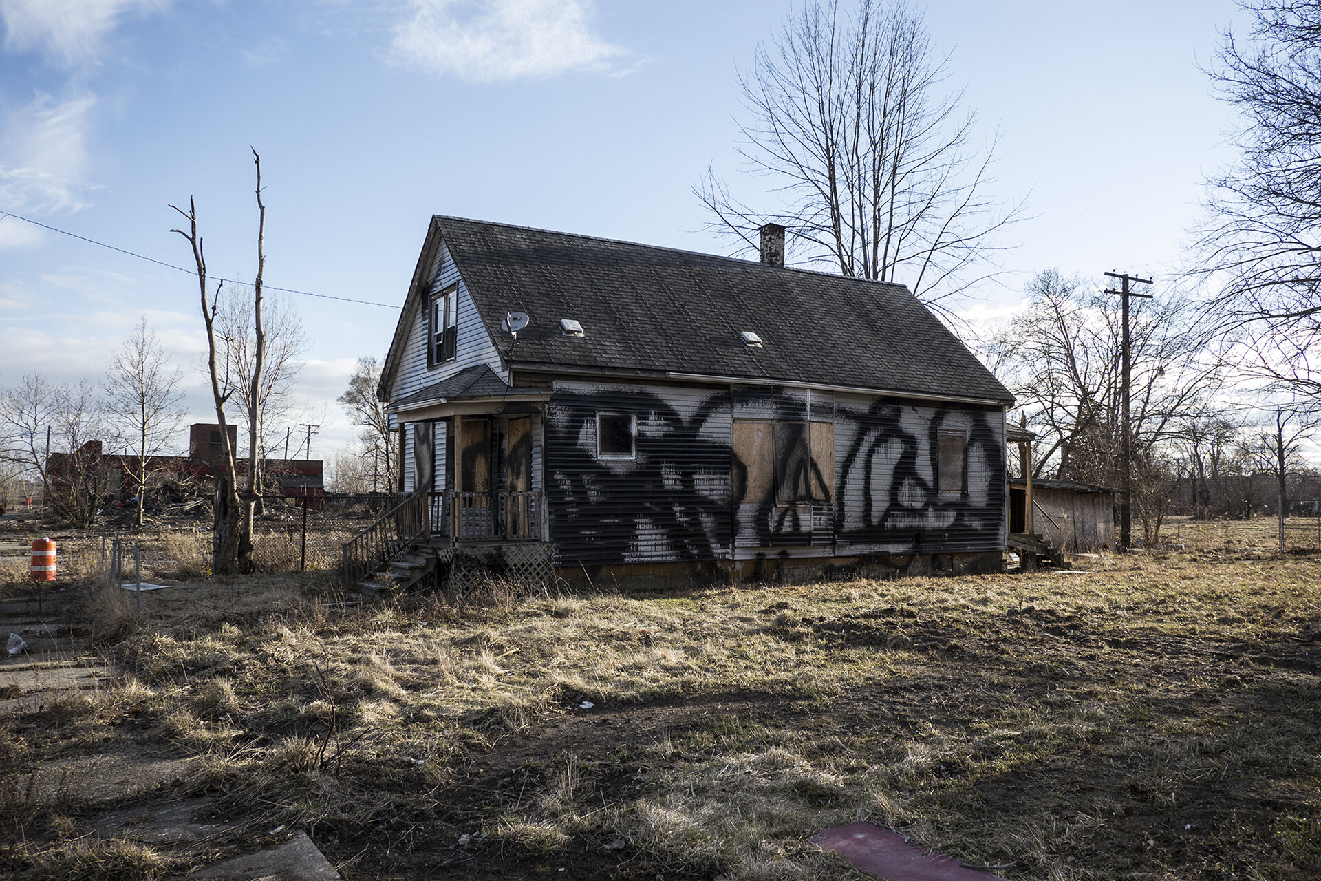 painted_house_detroit_2013_iain_maitland.jpg