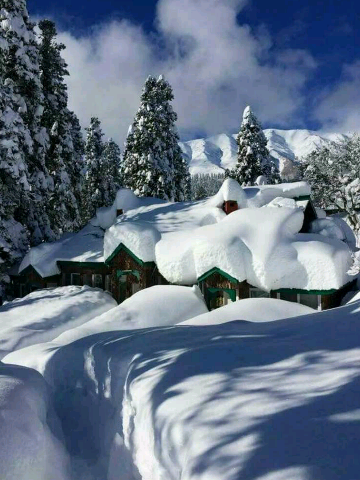 2017-06-03 20.50.52.png