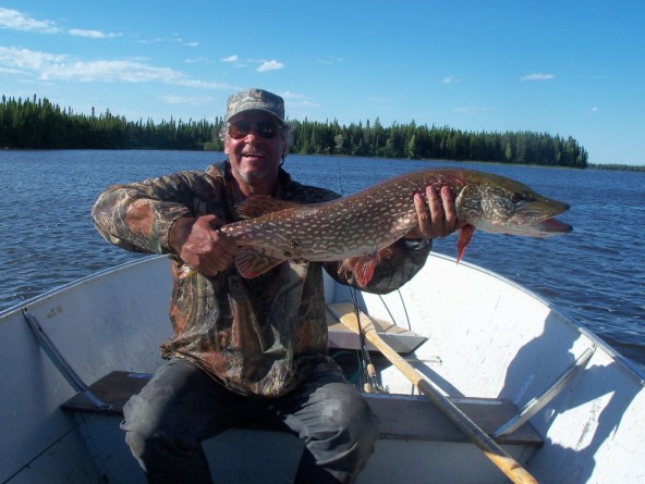 Manitoba Pike.jpg