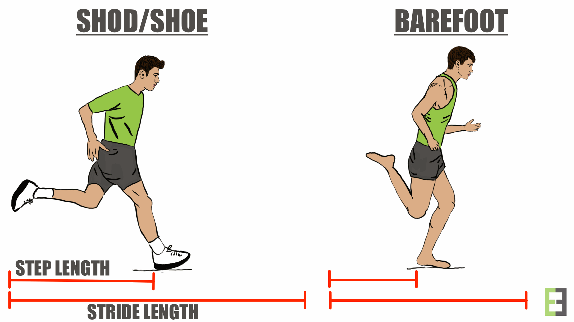 Step and Stride length.png
