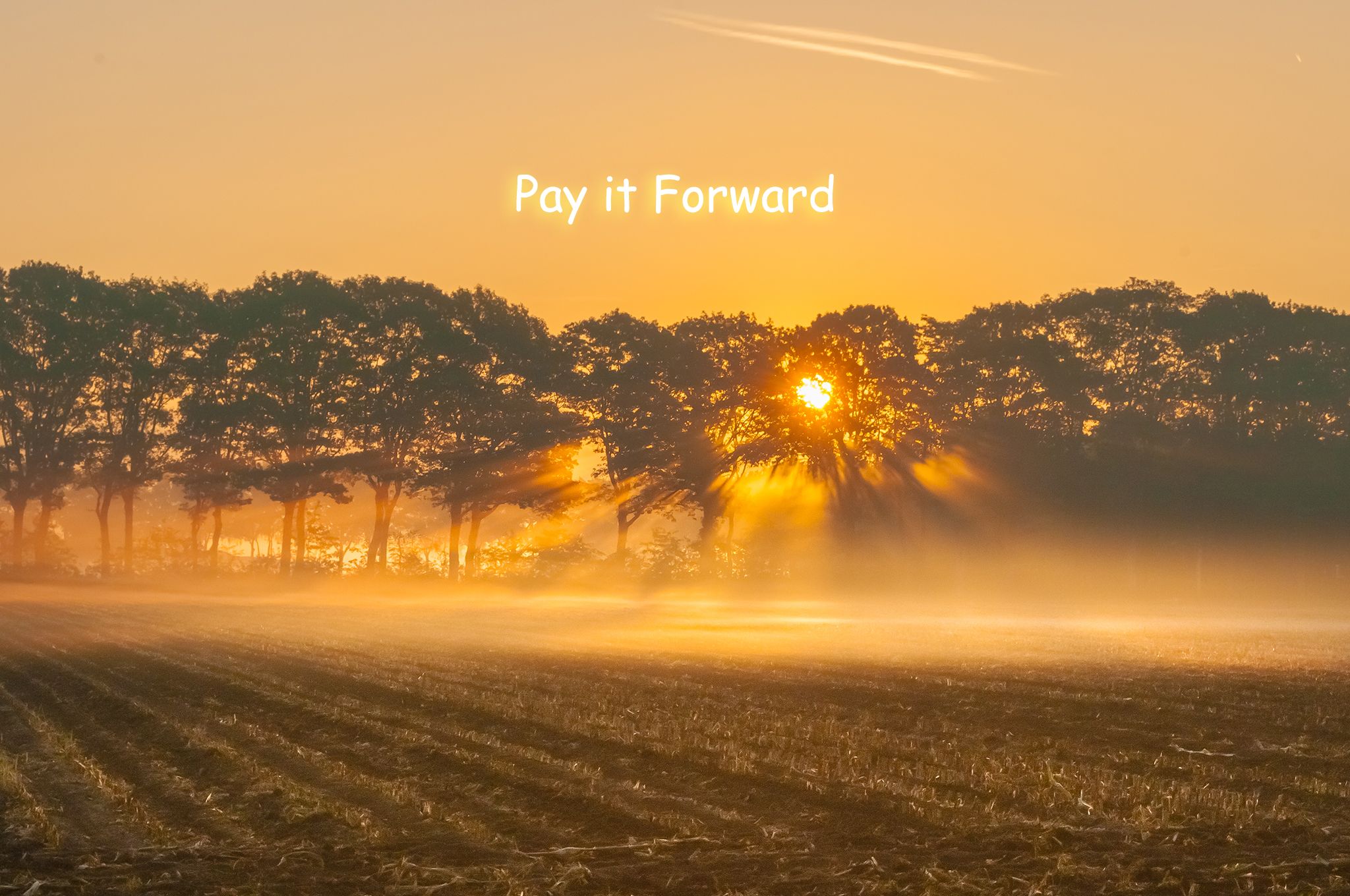 pay it forward.jpg