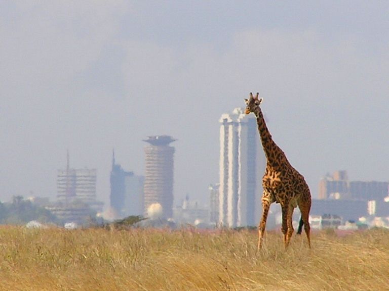 Kenya.jpg