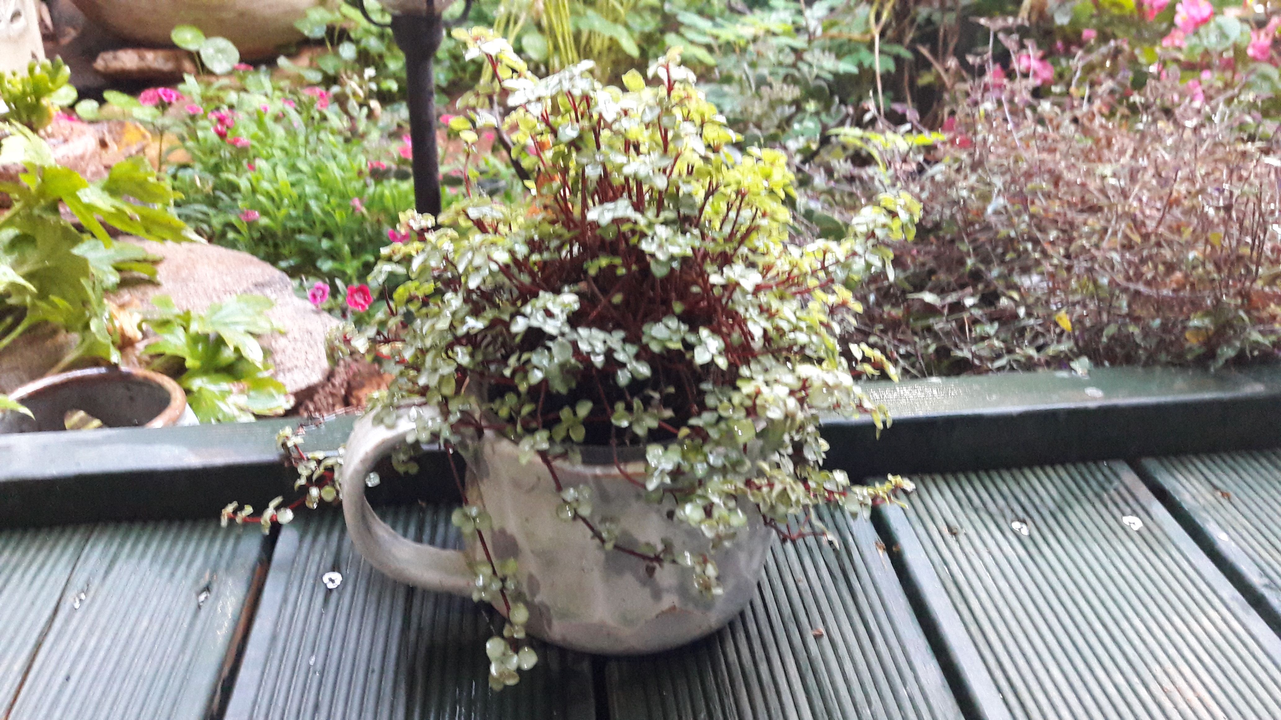 20170921_181649.jpg