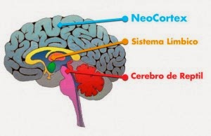 steemit nuevo post 23.png