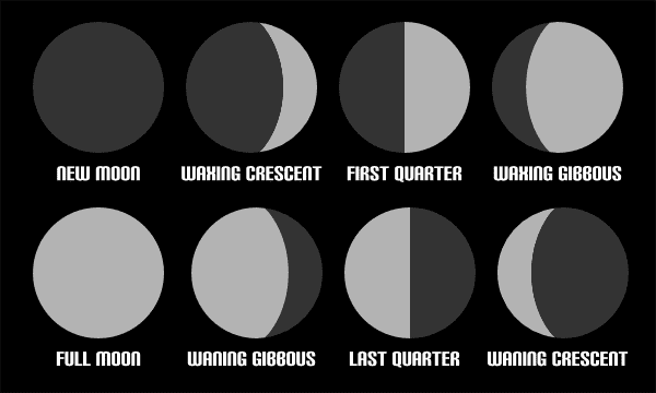 moon-phases.png