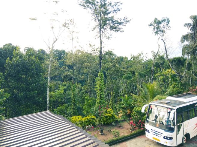 Forest View.jpg