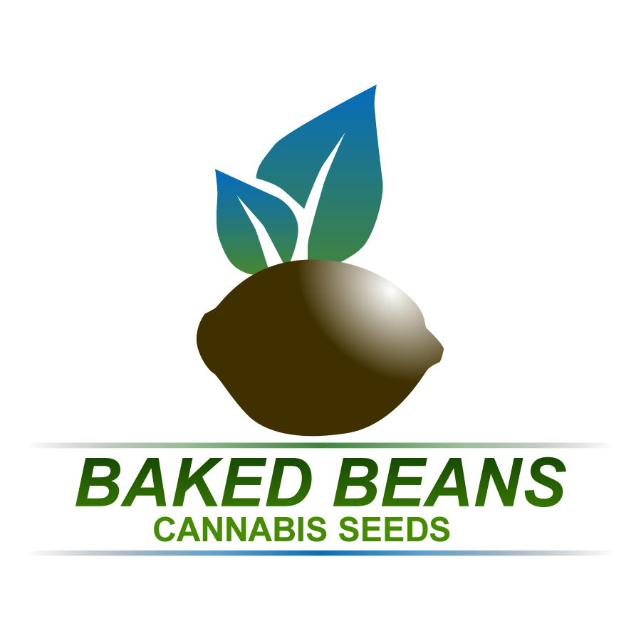 Bakedbeans Rough 300dpi Vector.fw GROUPED.fw.png