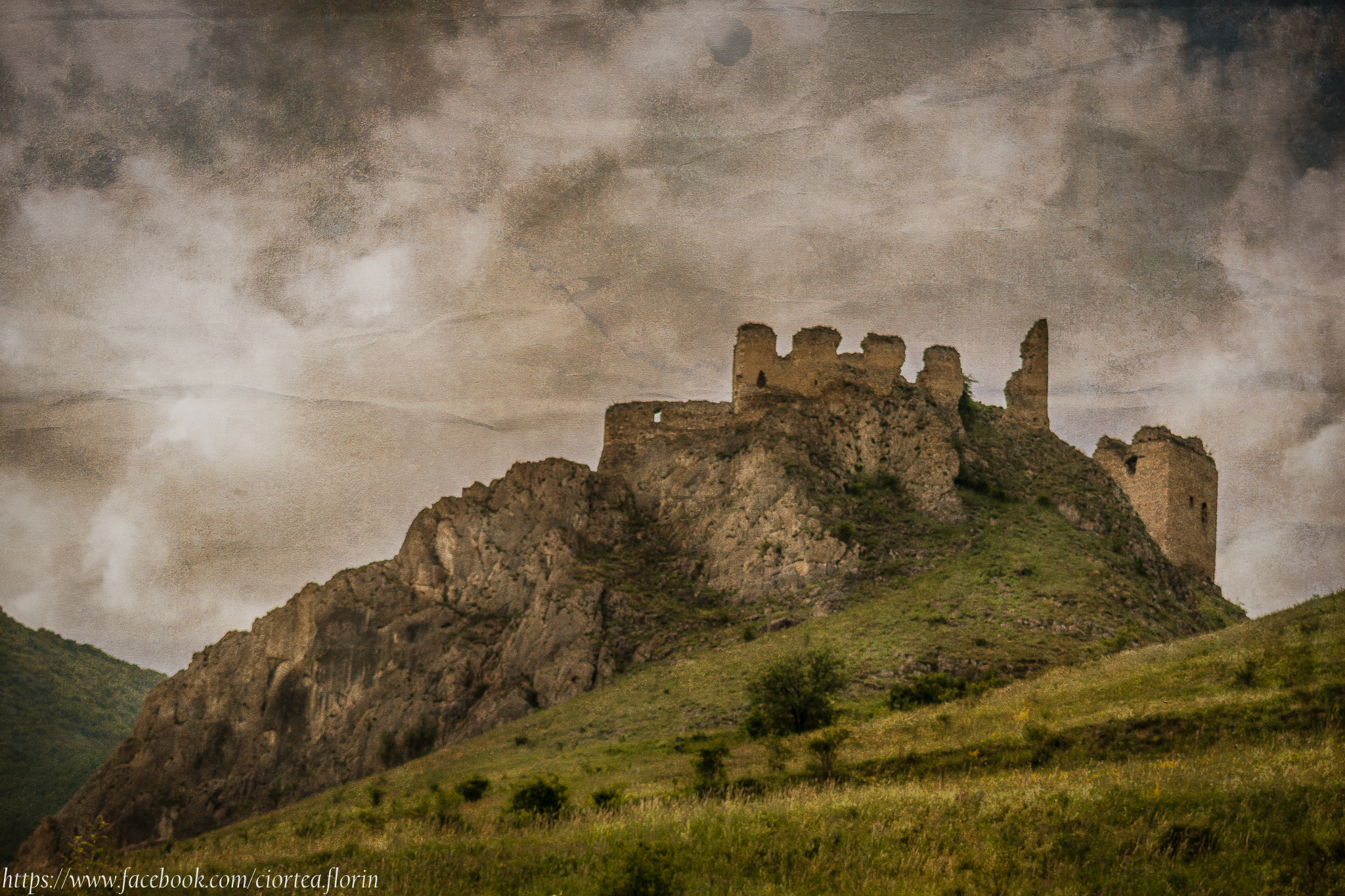 DSC_0042-Edit.jpg