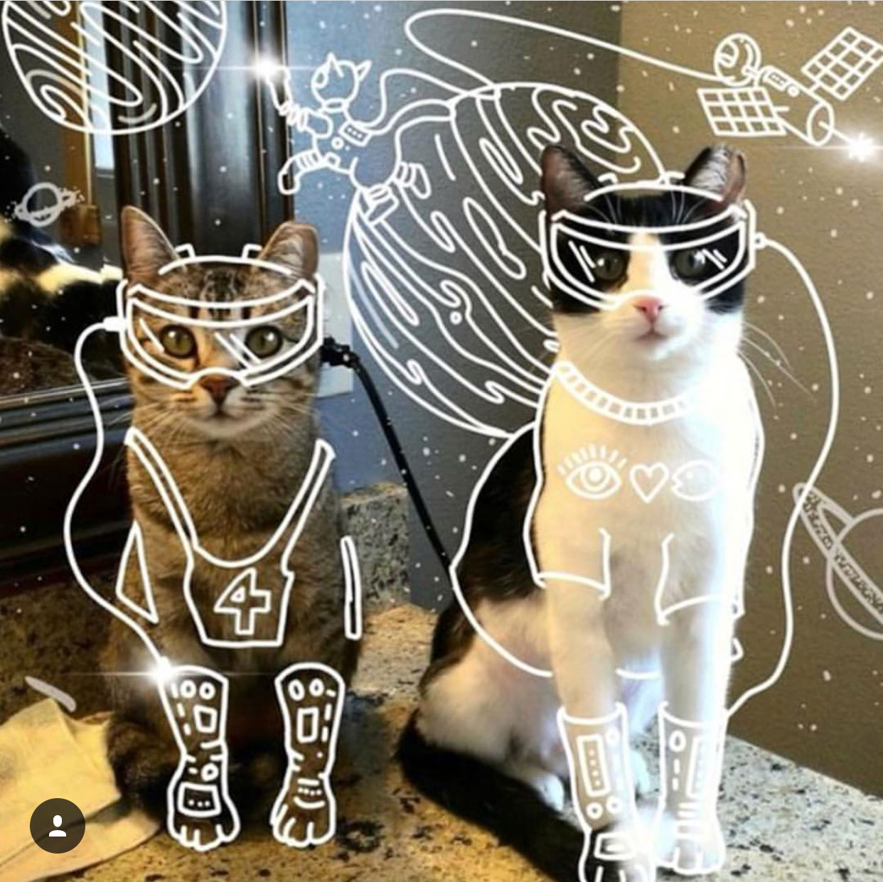 spacekitties.jpg