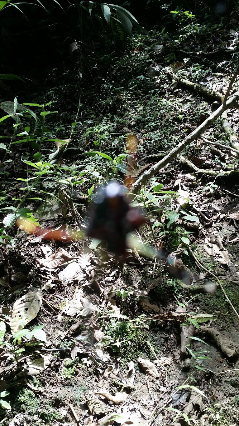 19 - spider blocks path but camera refuses to focus nature reserve.jpg