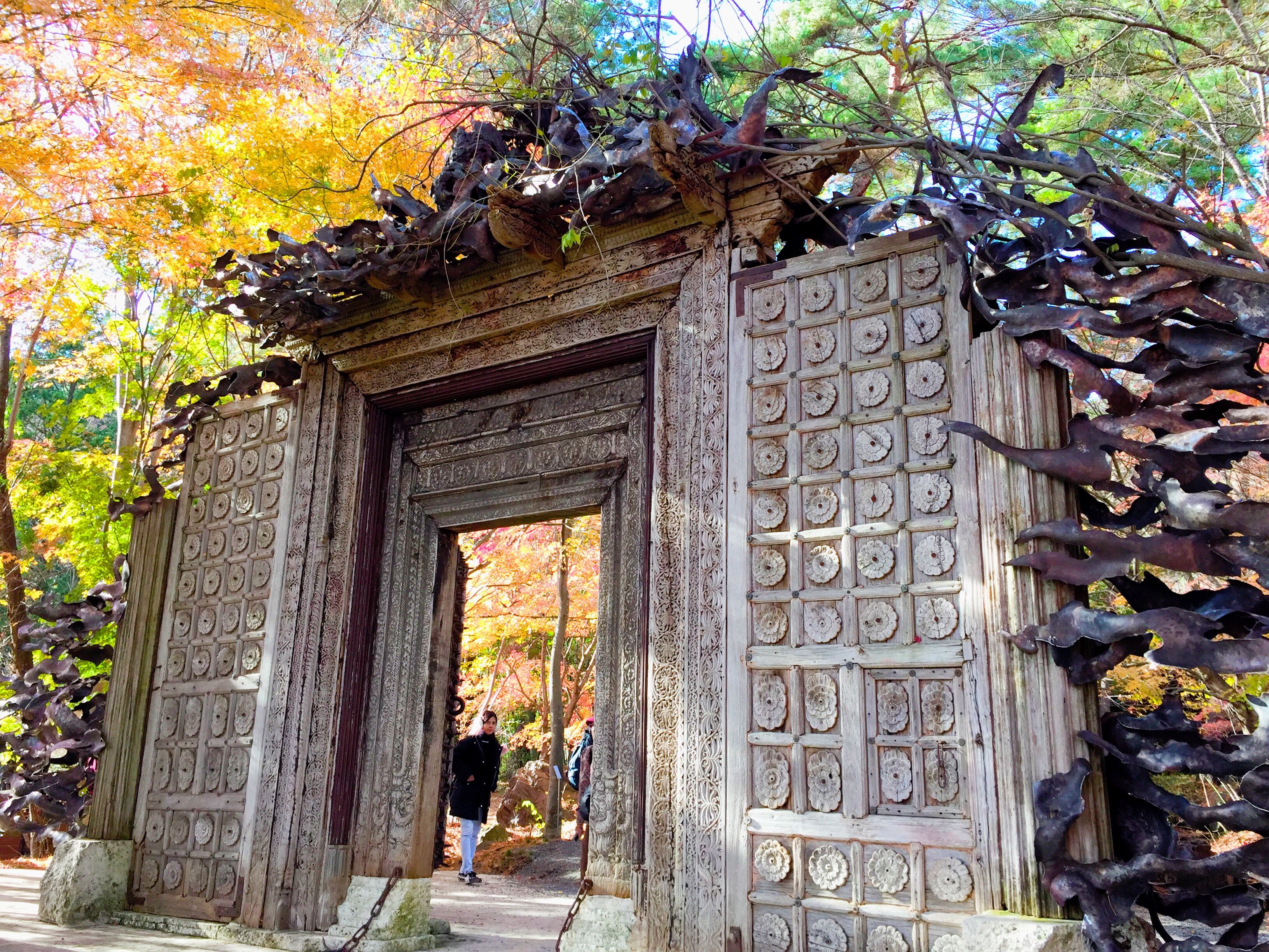 2017-11-19 13.49.26.jpg