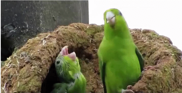 U5dtLQ63TfdwP49RFBDxNpK5KMhNLXL.gif