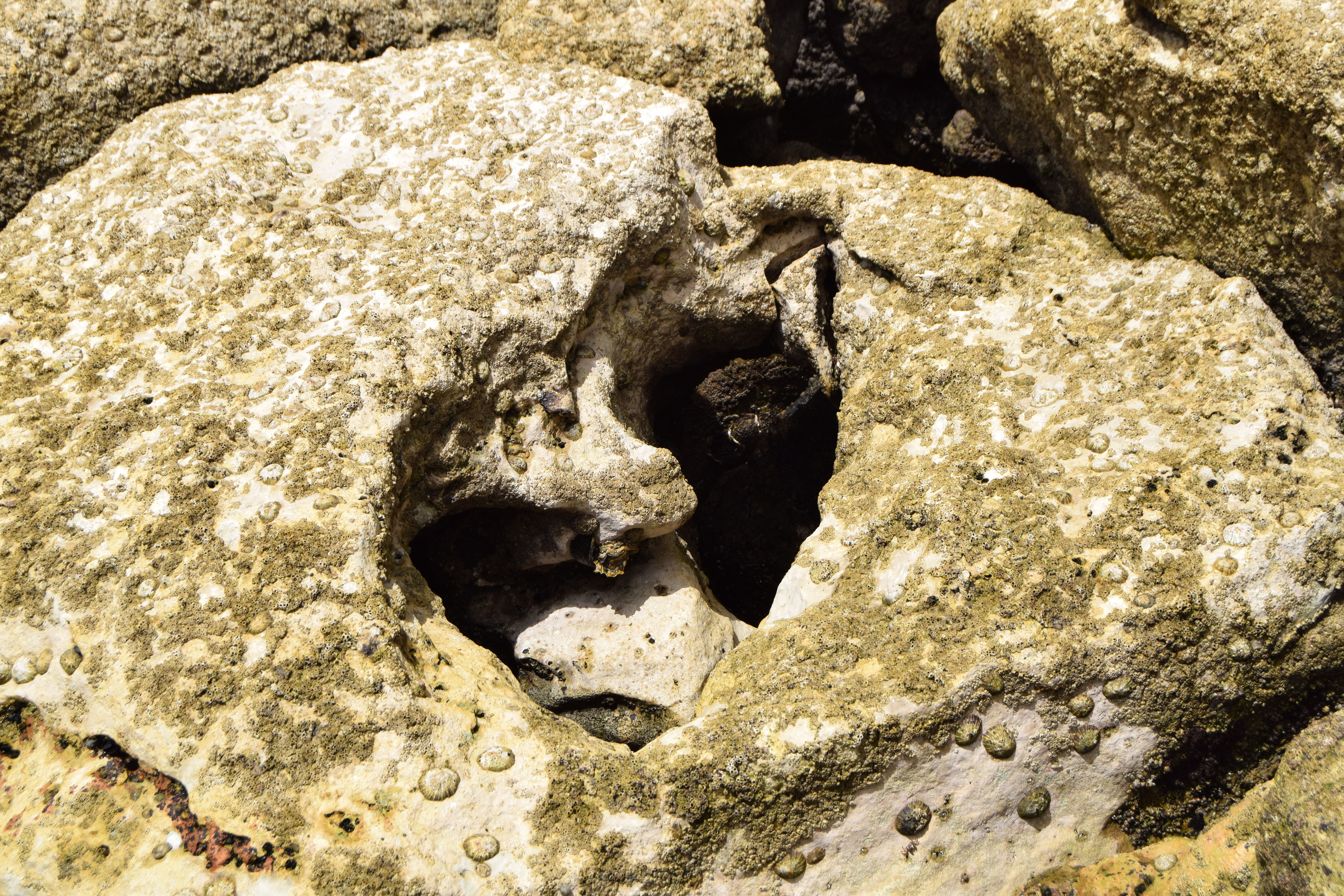 DSC_8196.JPG