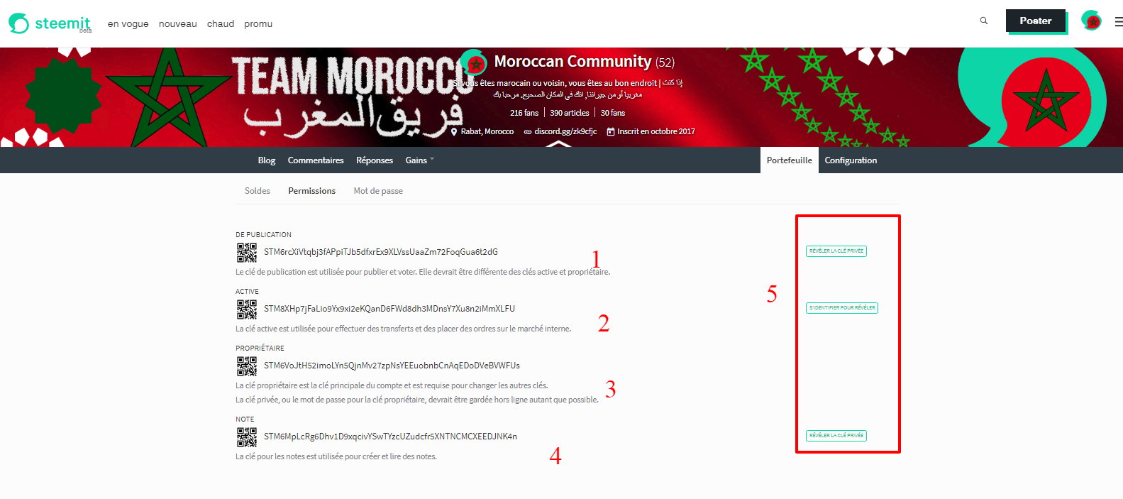 Moroccan Community   teammorocco  — Steemit Wallet permissions.png