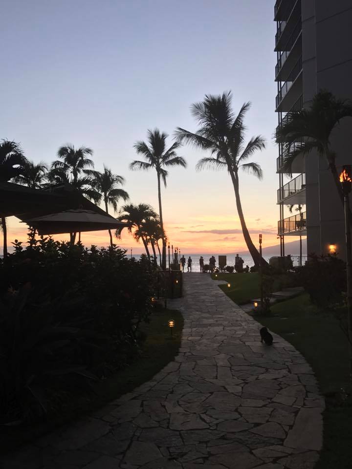 Sunset Hawaii .jpg