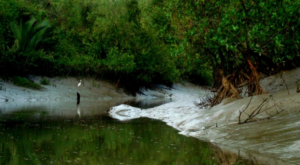 02-BD-SundarbansEnamul-Mazid-Khan-Siddique.JPG