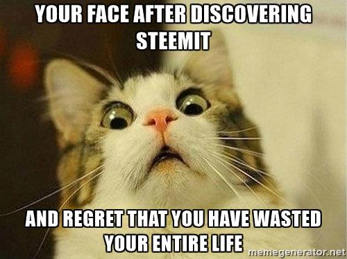 cat-face-nw-your-face-after-discovering-steemit-and-regret-that-you-have-wasted-your-entire-life.jpg