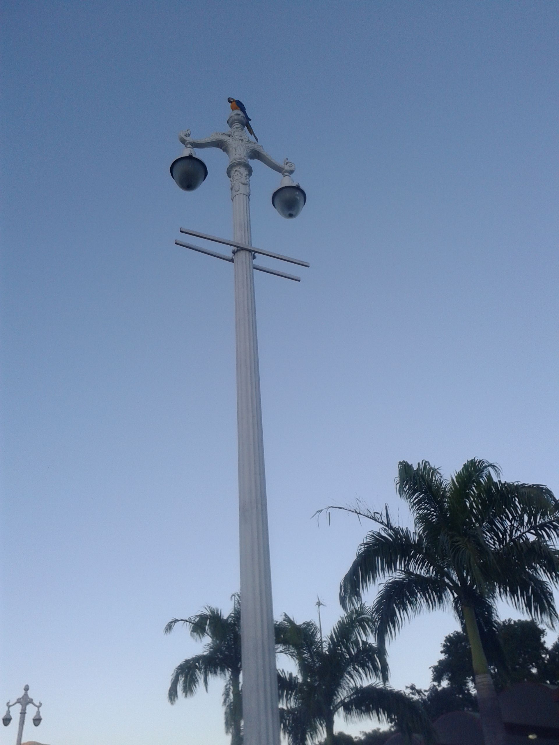 20180220_175351.jpg