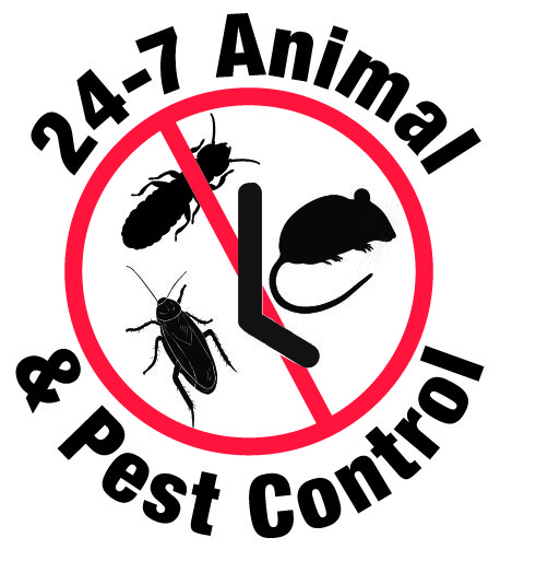Pest control.jpg