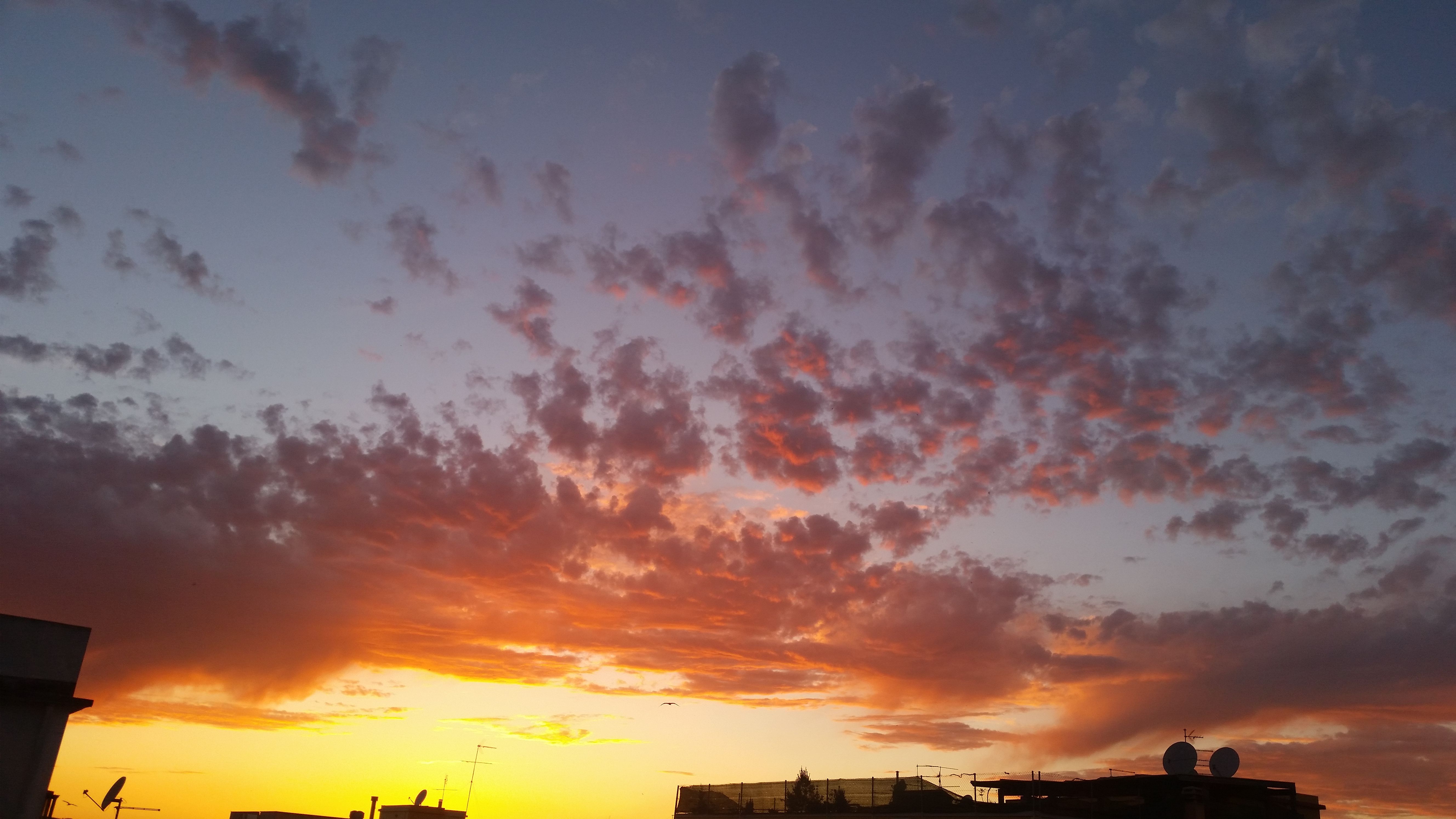 20170513_203211.jpg