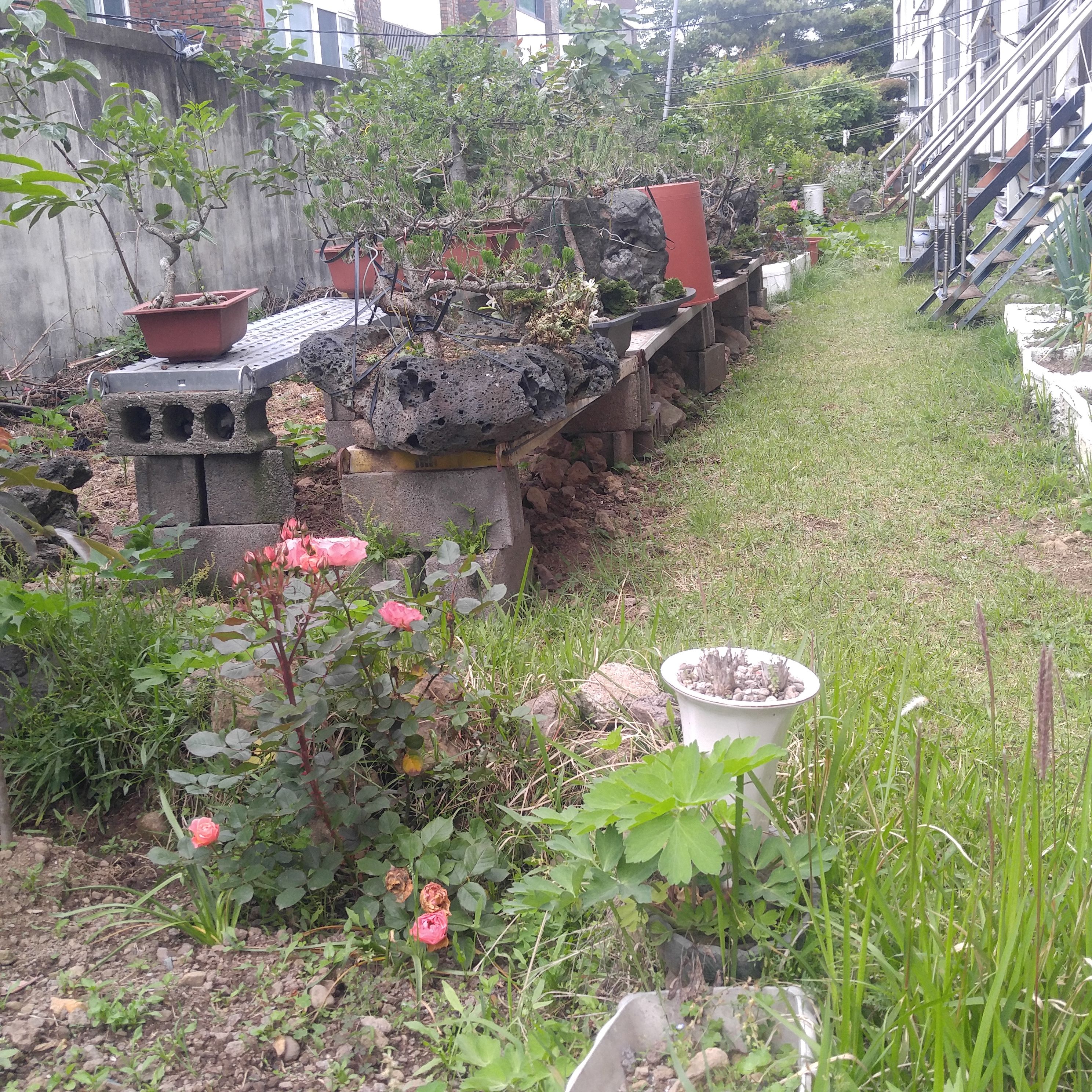 20180512_115436.jpg