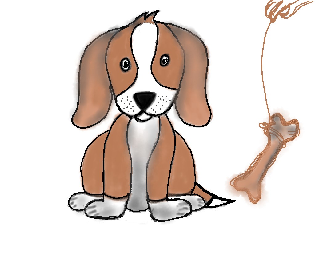 Drawing Of A Cute Beagle Puppy Process Inside Including Video Steemit